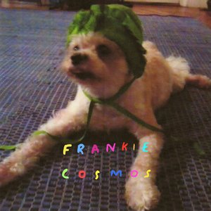 Sad 2 by Frankie Cosmos