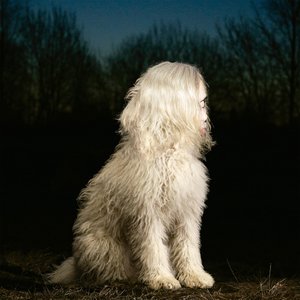 uno es árbol by Juana Molina
